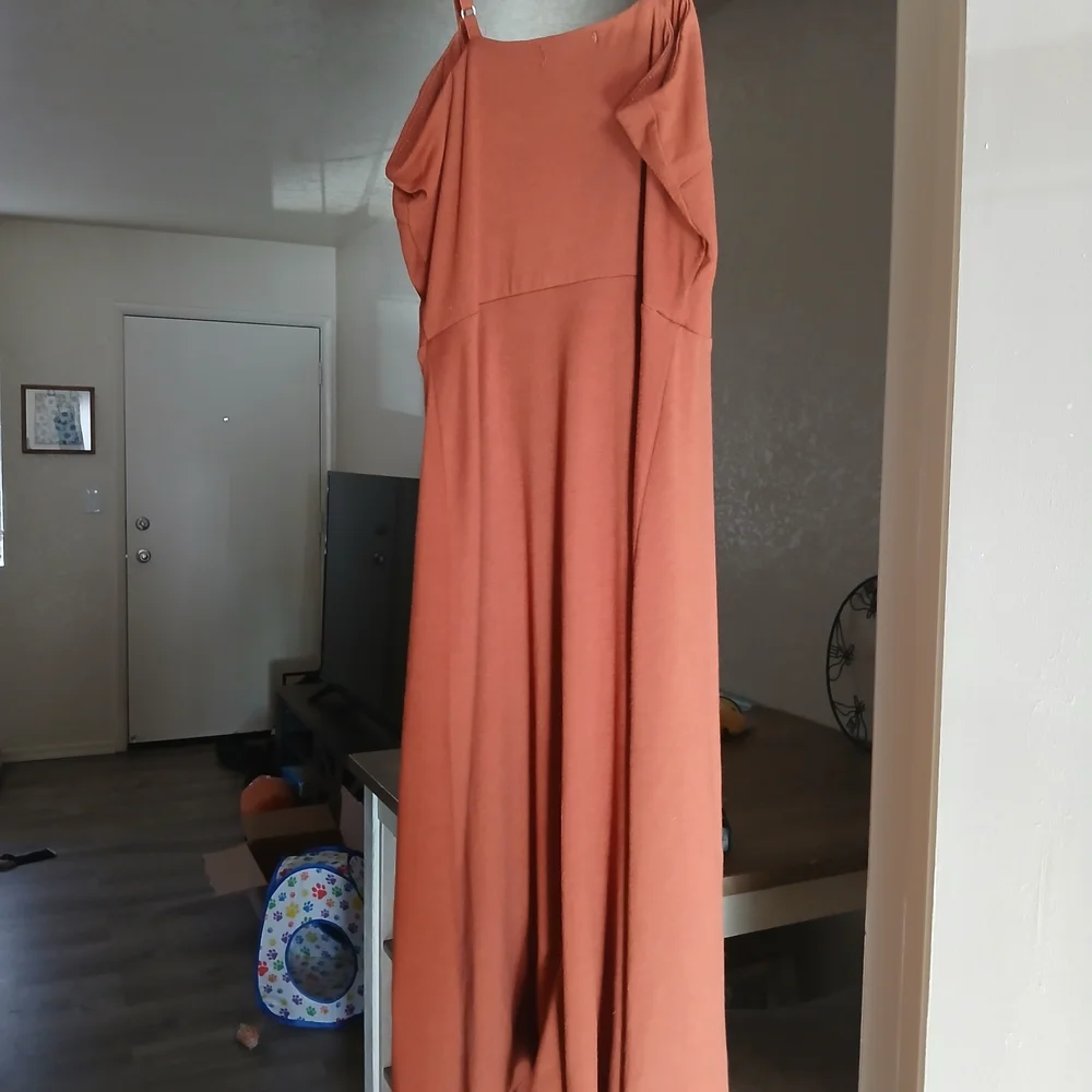 Rust Button-Down Dress - Picture 6 of 8
